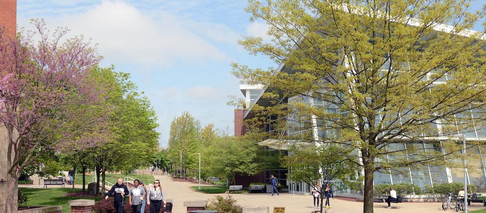 Students walk on campus for an undergraduate admissions event.